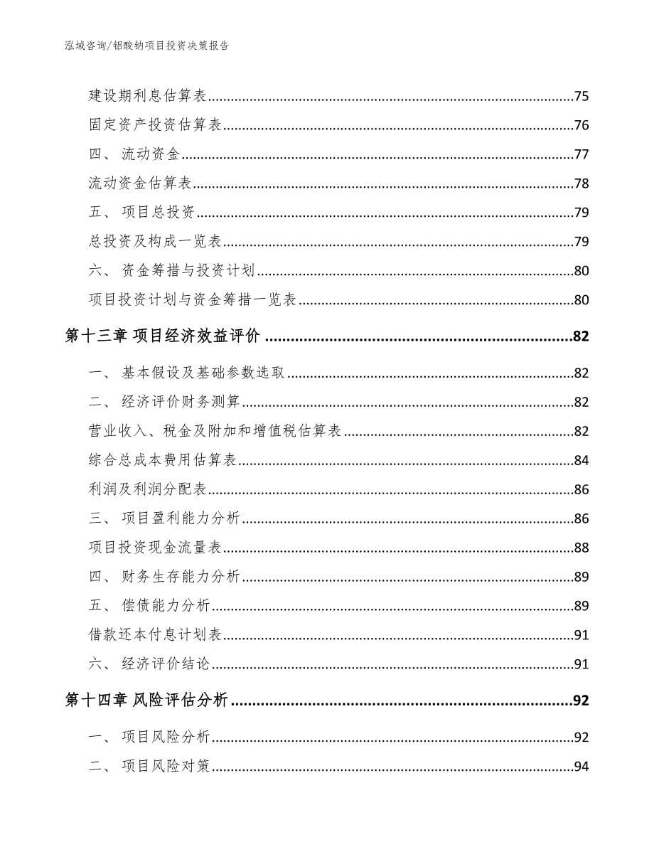 铝酸钠项目投资决策报告_模板参考_第5页