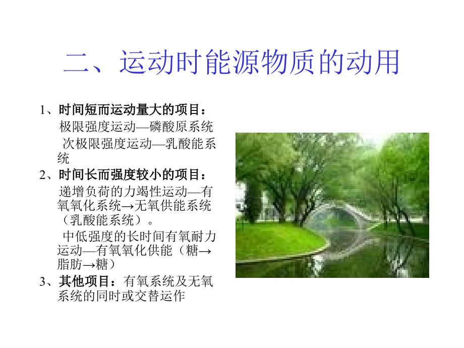 不同运动项目对能量的要求.ppt_第4页