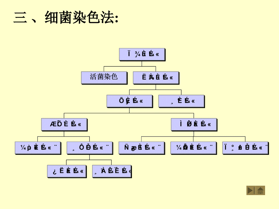 微生物染色法_第1页