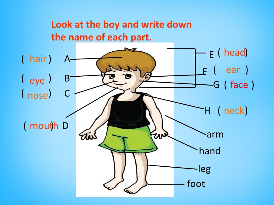 仁爱初中英语七上《Unit 2Topic 1 I have a small nose》PPT课件 (2)_第4页