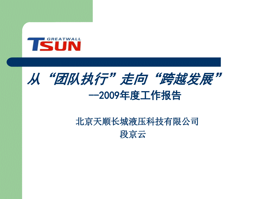 从团队执行走向跨跃发展定稿_第1页