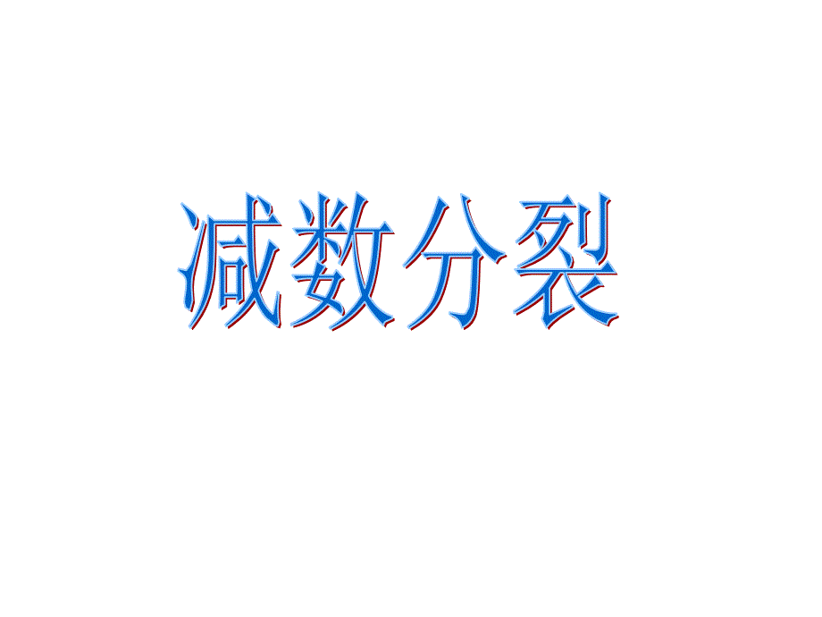 减数分裂习题课_第1页