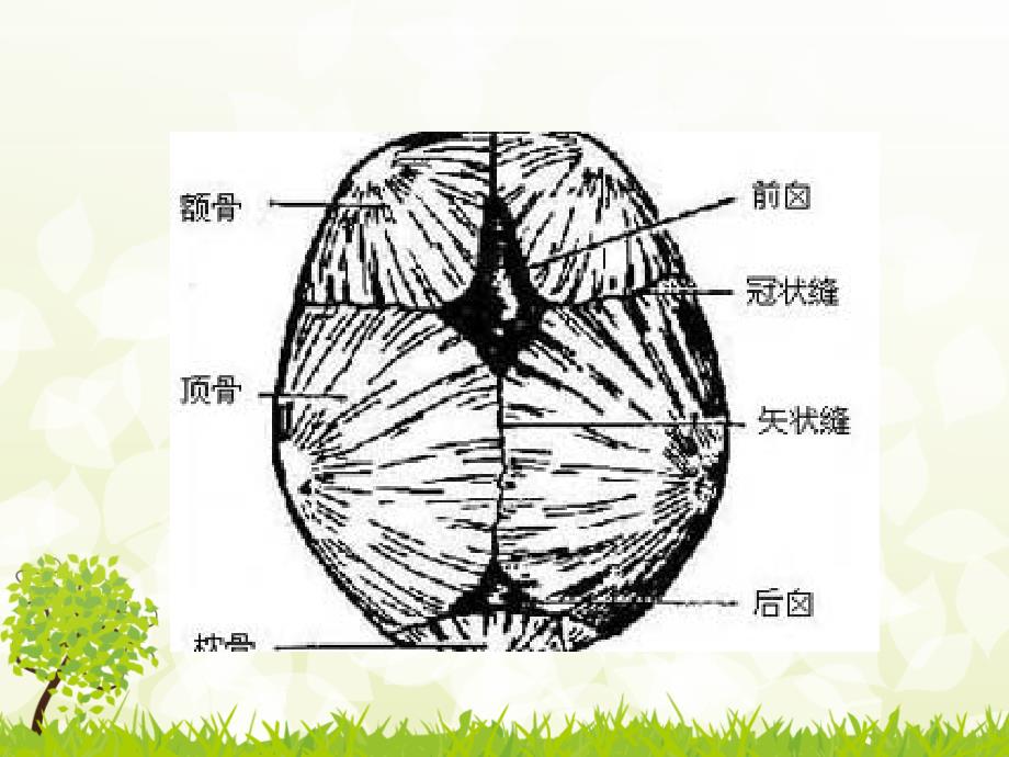 新生儿专业护理_第4页