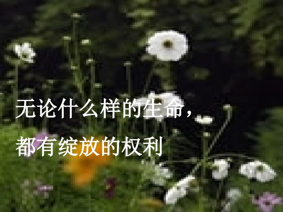 第一课时课件 (4)_第1页