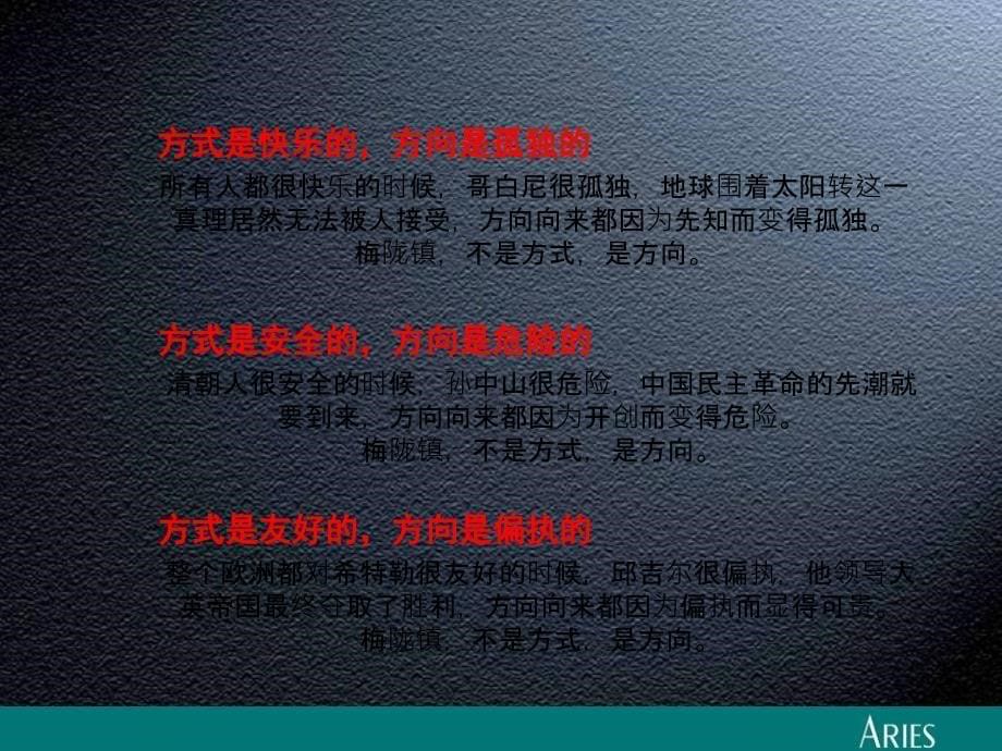 金地梅龙镇广告提案_第5页