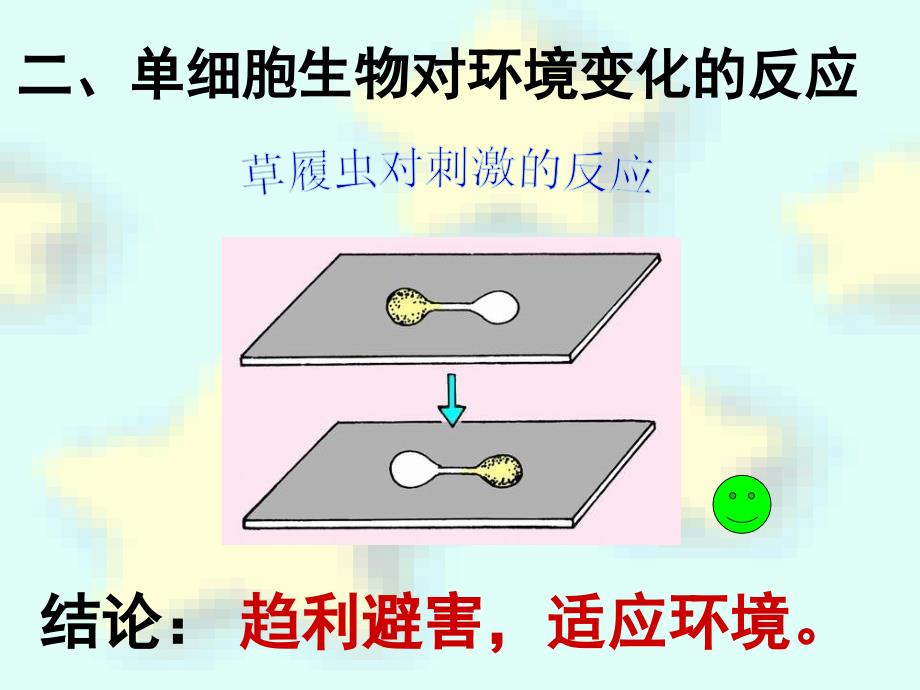 41单细胞生物_第4页