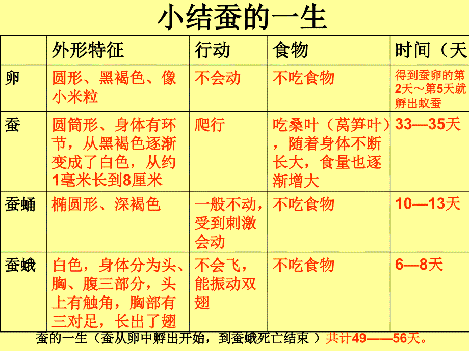 第5课蚕的生命周期课件_第4页