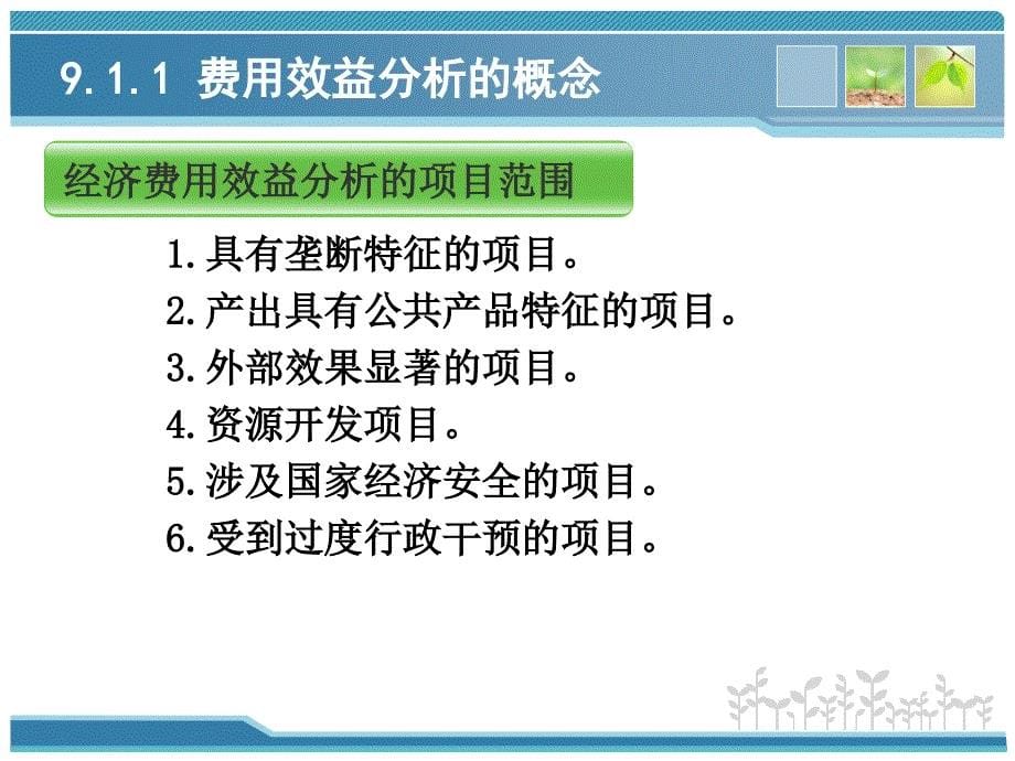 《经济费用效益分析》PPT课件_第5页