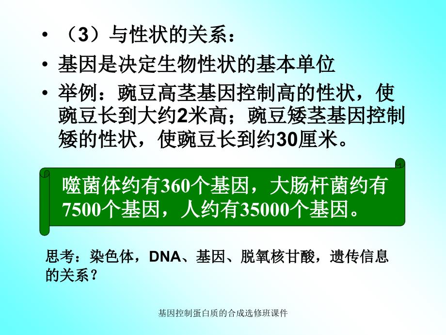 基因控制蛋白质的合成选修班课件_第4页