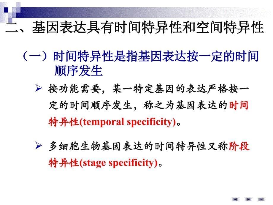 人卫8版-基因表达调控_第5页