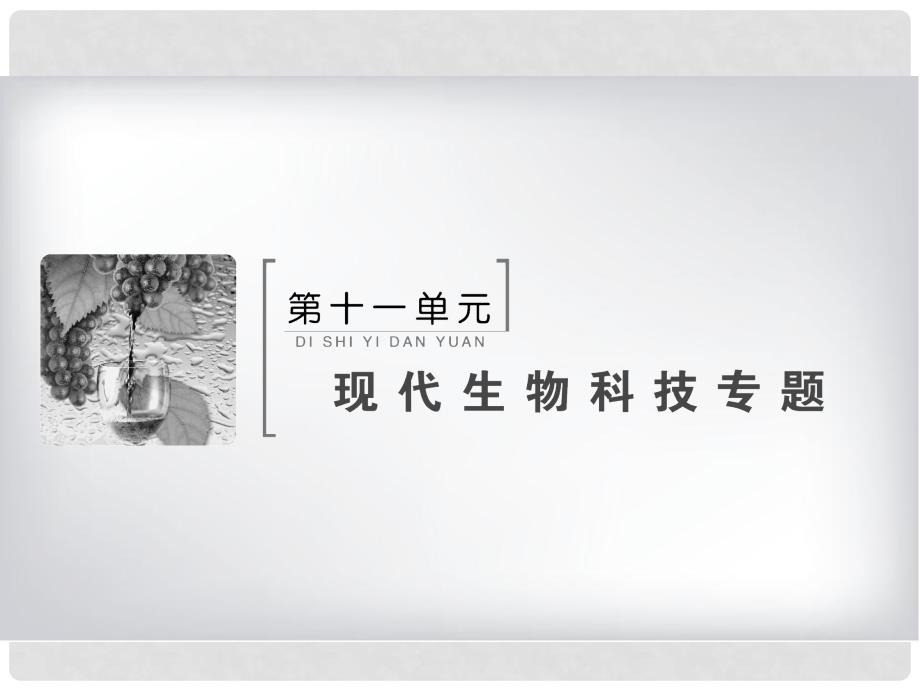 高考生物大一轮复习 第十一单元 现代生物科技专题 11.1 基因工程课件_第2页