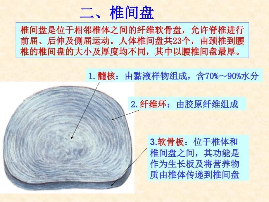 腰部损伤PPT课件.ppt_第5页