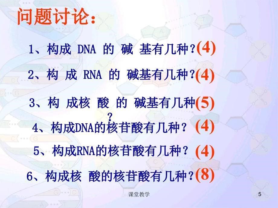 DNA分子的结构与复制(一轮复习)【课时讲课】_第5页