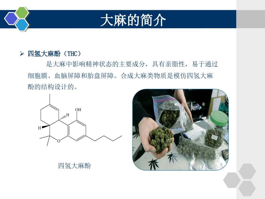 大麻的发展现状_第4页