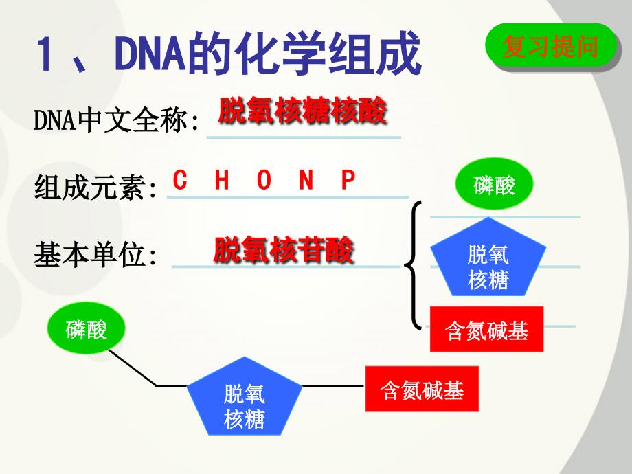 DNA分子的结构课件(示范课)_第3页