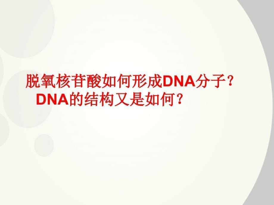 DNA分子的结构课件(示范课)_第5页