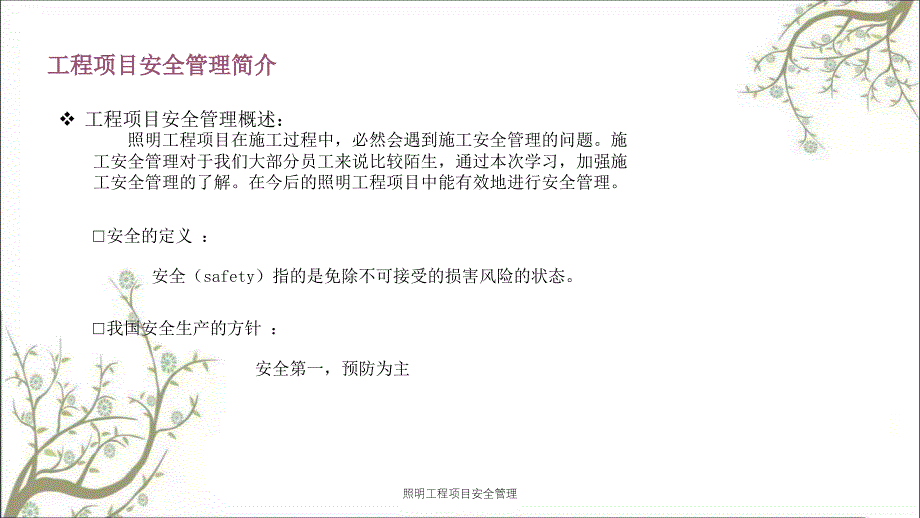 照明工程项目安全管理PPT课件_第2页