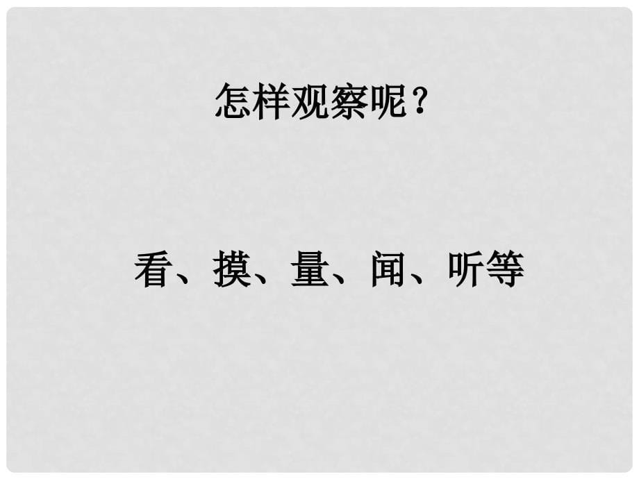 一年级科学上册 1.2 观察一棵植物课件2 教科版_第5页