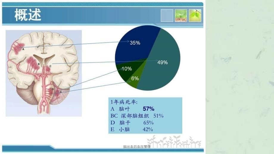 脑出血后血压管理课件_第5页