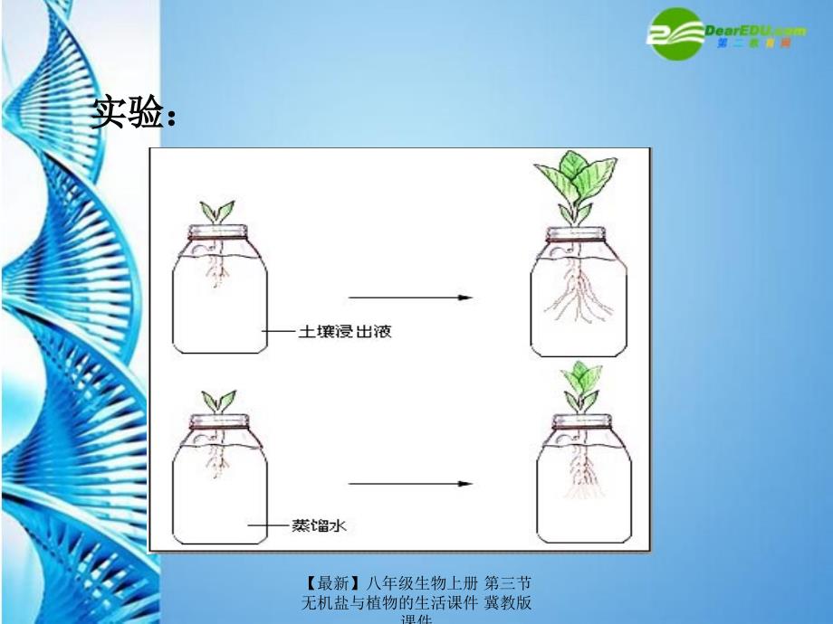 最新八年级生物上册第三节无机盐与植物的生活课件冀教版课件_第3页