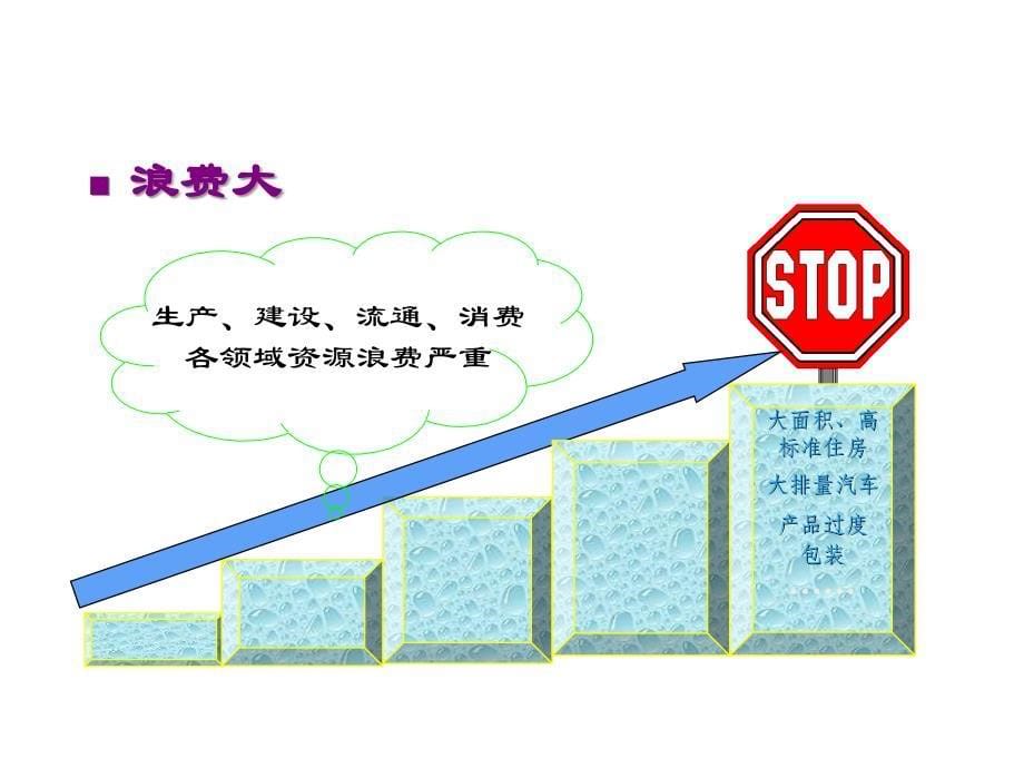 第二节中国的可持续发展实践_第5页