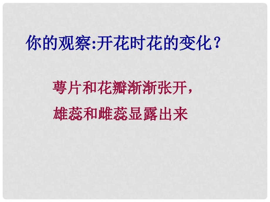 八年级生物上册 绿色开花植物的传粉及受精课件 济南版_第2页