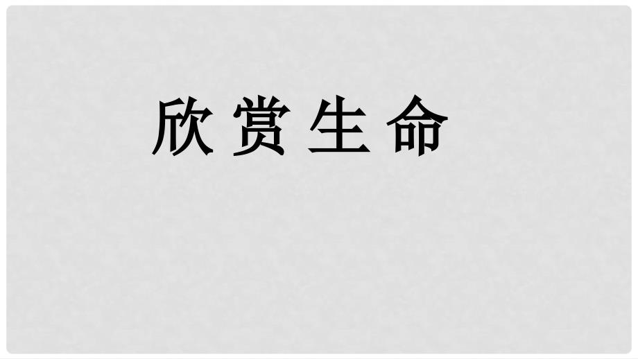 河北省临西县九年级语文下册 第8课《欣赏生命》课件 河大版_第1页