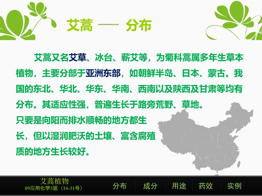 艾草的简单介绍.ppt_第3页