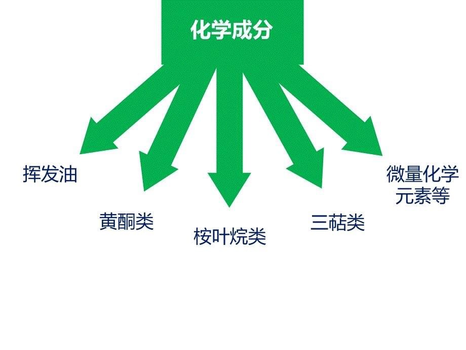 艾草的简单介绍.ppt_第5页