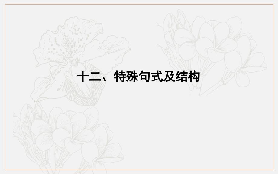 版导与练一轮译林英语课件：第二部分　语法专题 十二、特殊句式及结构_第1页