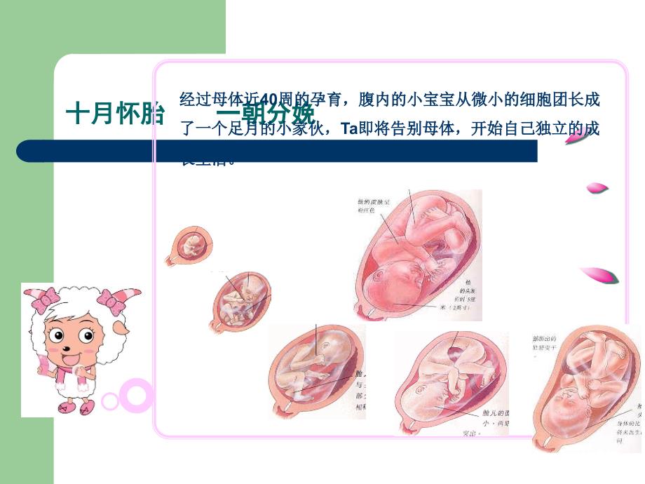 自然分娩好处多ppt课件_第2页