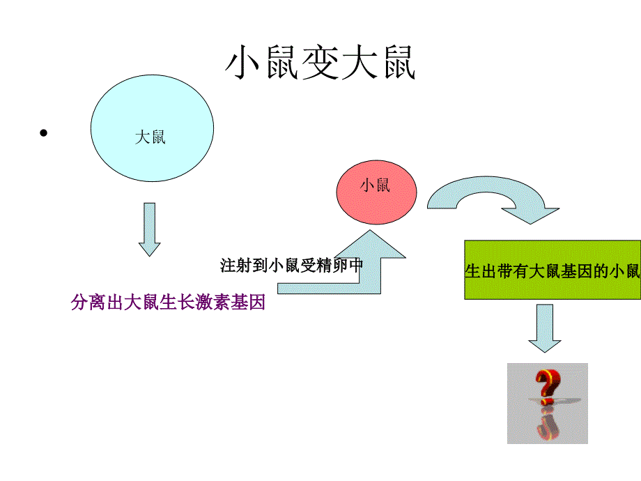 第一节现代生物技术的应用_第3页