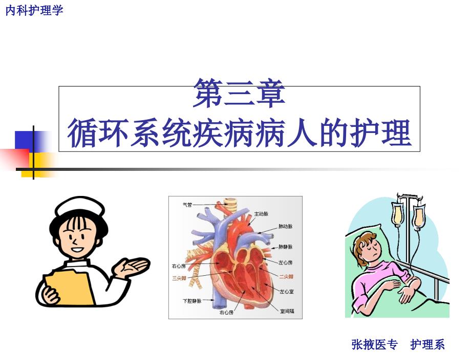 循环系统第一节概述PPT课件_第1页