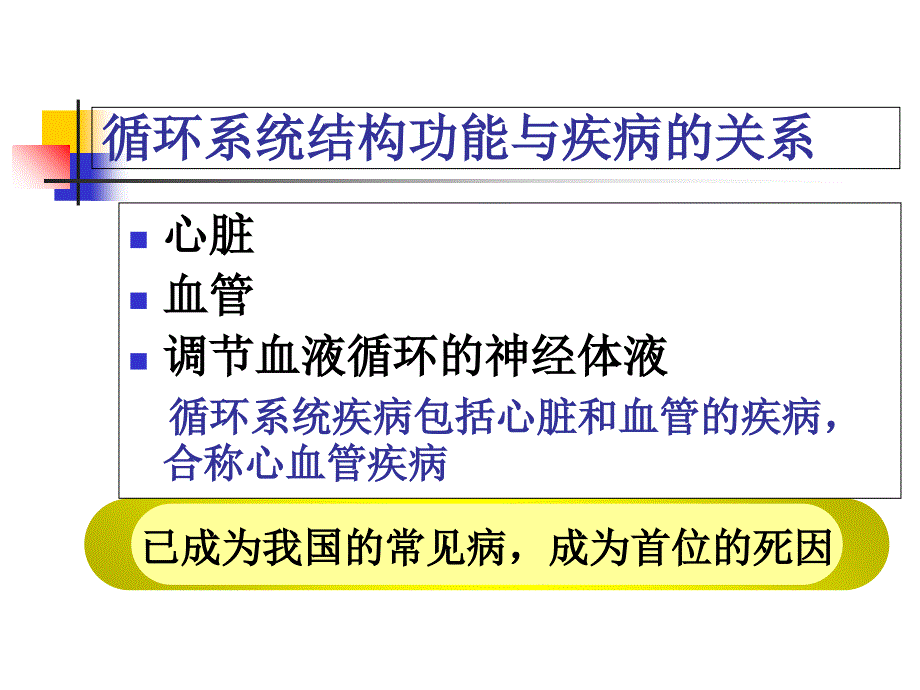 循环系统第一节概述PPT课件_第2页