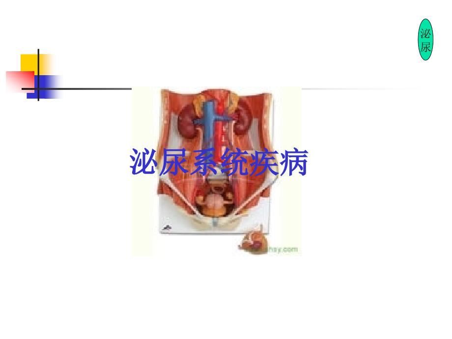 内科学复习下集_第1页