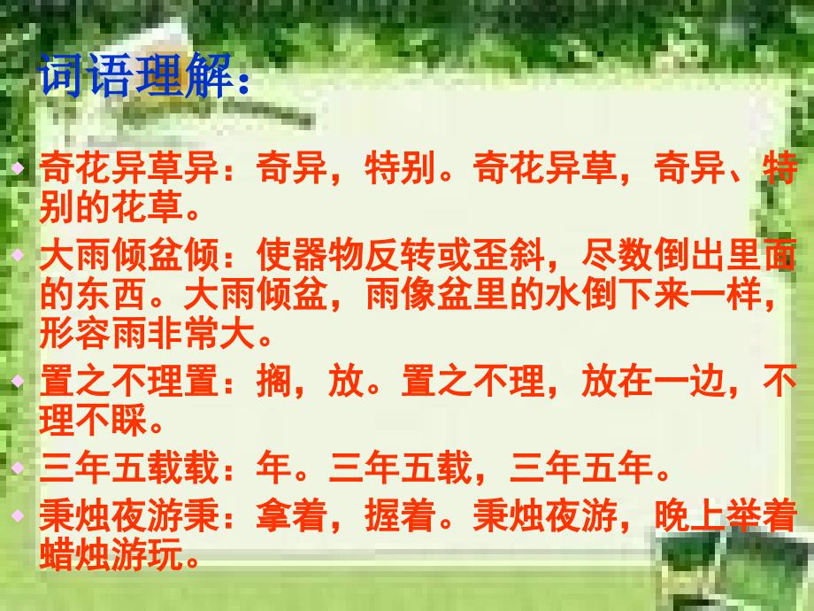 《养花》课件_第4页