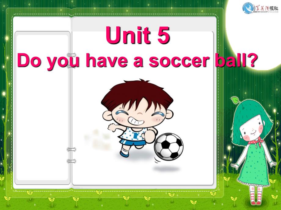 新人教版七年级英语上册Unit_5_Do_you_have_a_soccer_ball_Section_B2_第1页