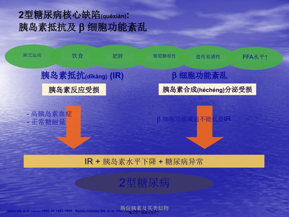 肠促胰素及其类似物课件_第2页