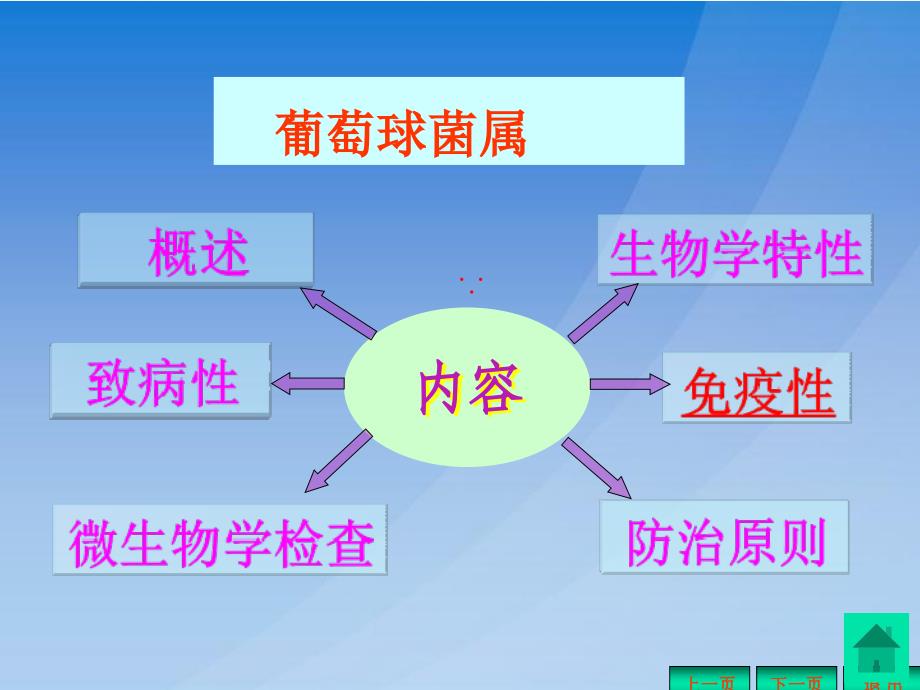 《常见细菌》PPT课件_第2页