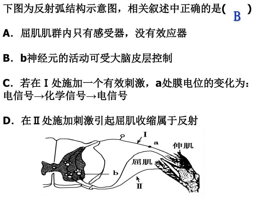 人教版教学浙江省建德市新安江高级中学生物必修三22神经系统的结构和功能课件_第5页