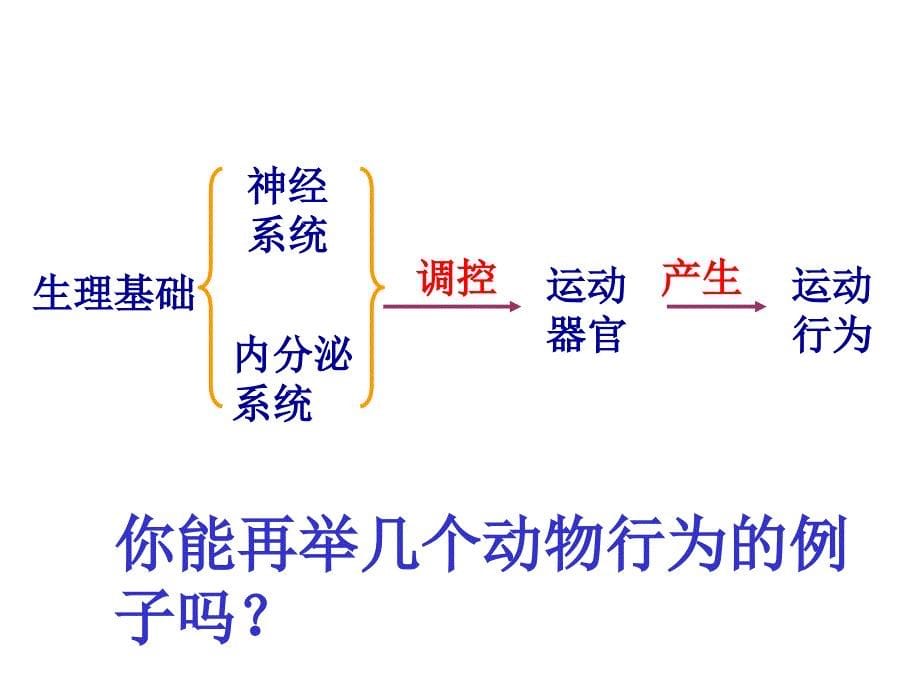 动物行为产生的生理基础教学课件_第5页