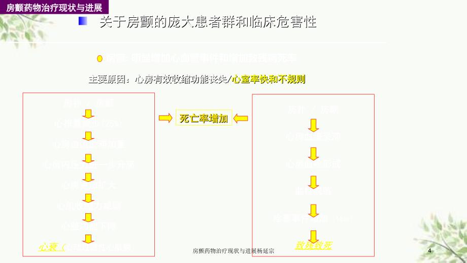 房颤药物治疗现状与进展杨延宗课件_第4页