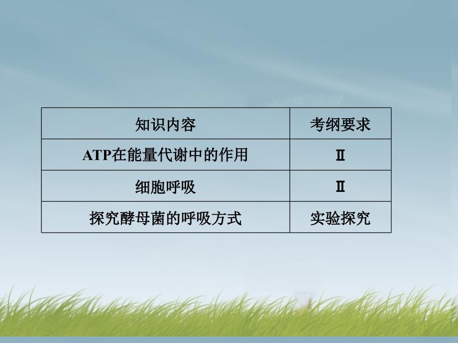 细胞的能量供应和利用课件_第2页