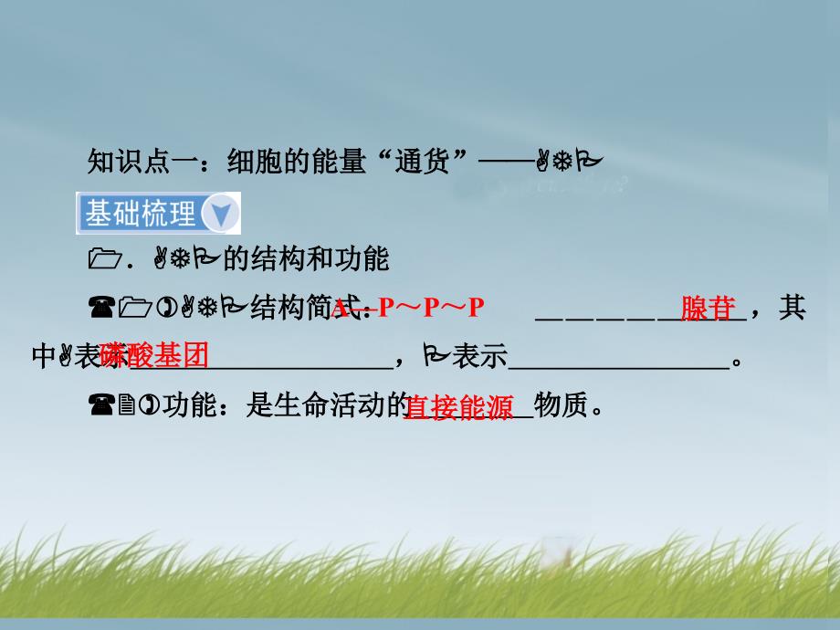 细胞的能量供应和利用课件_第4页