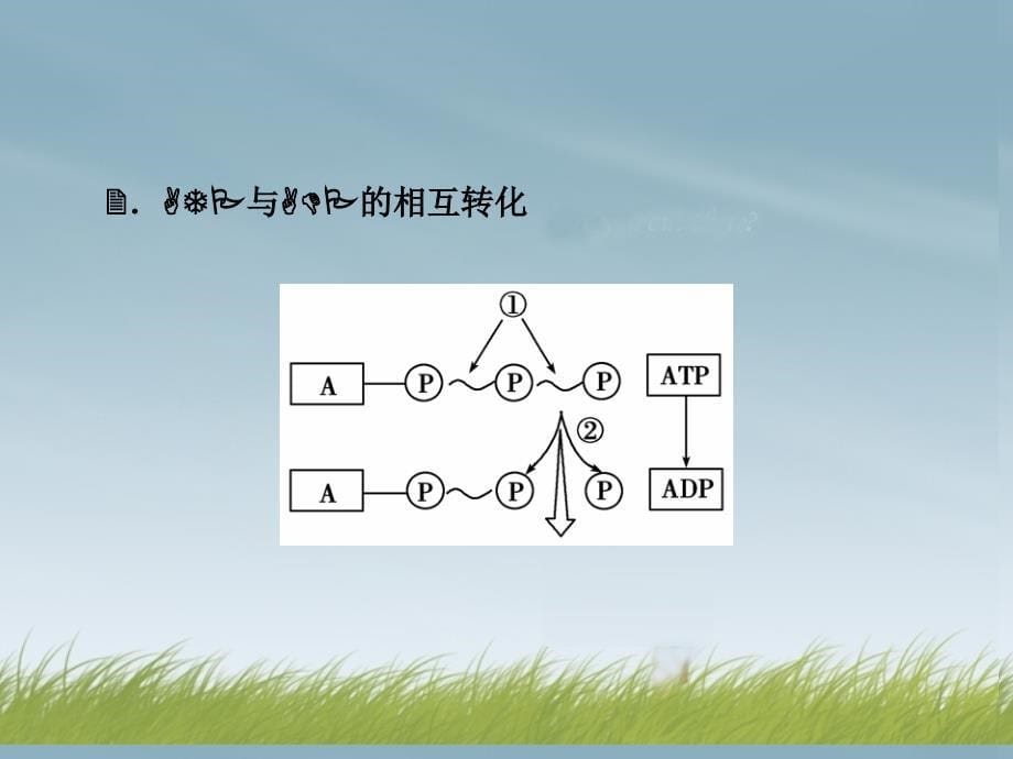 细胞的能量供应和利用课件_第5页