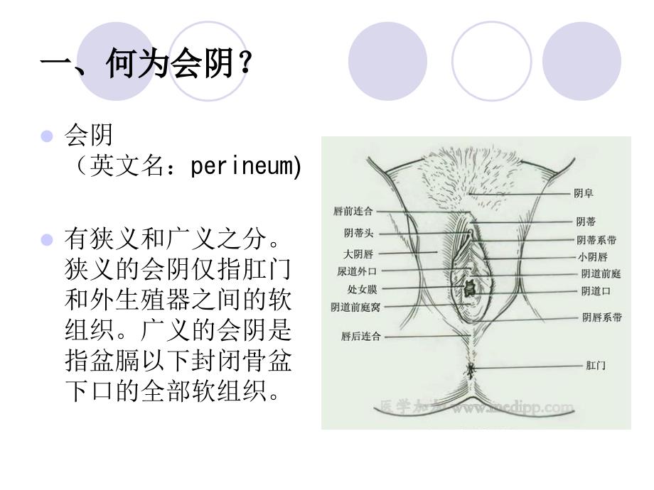 《会阴部护理》PPT课件_第2页