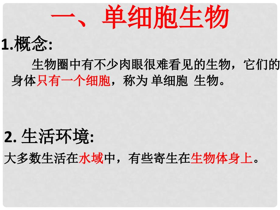 湖北省麻城市集美学校七年级生物上册《第二单元 第二章 第四节 只有一个细胞的生物体》课件 新人教版_第3页