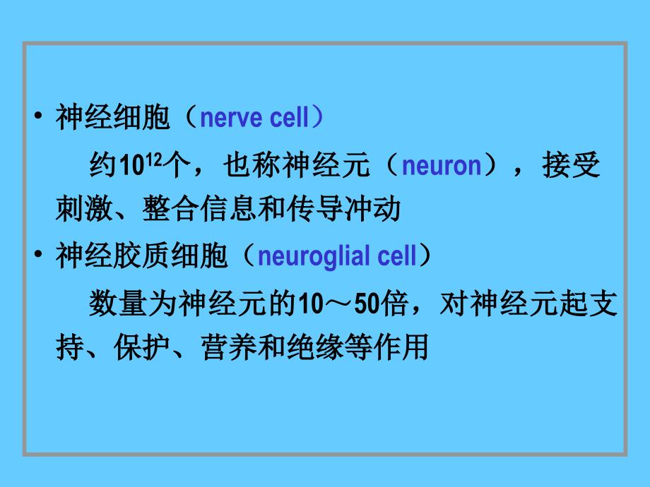 组织胚胎学07神经组织_第3页