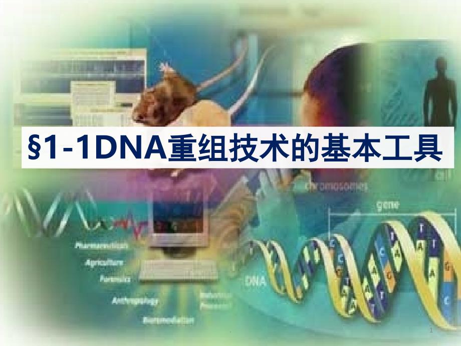 高中生物选修三基因工程优秀课件_第1页