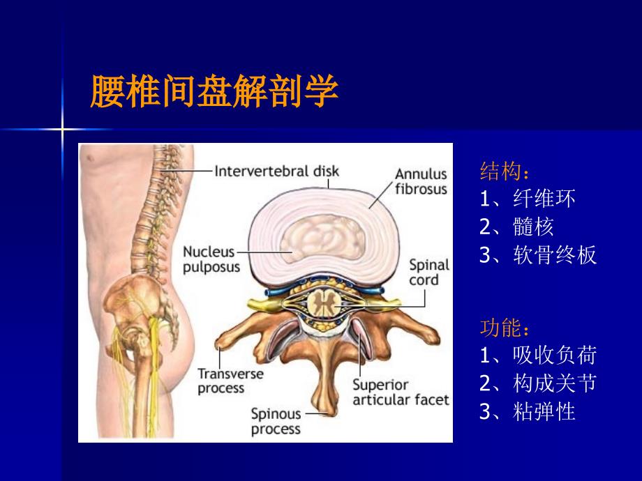 外科学课件：腰腿痛和颈肩痛_第4页